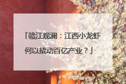 赣江观澜：江西小龙虾何以撬动百亿产业？